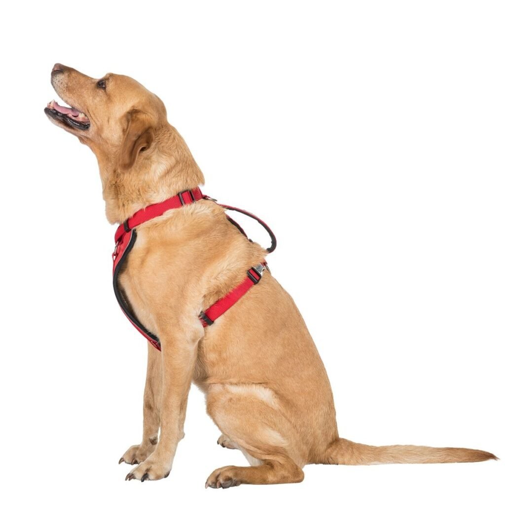 Trespaws Mini Tanked - Hundesele - Rød - Flere størrelser-S-M
