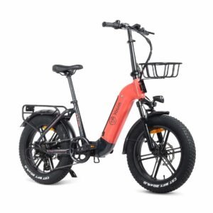 Elcykel Youin BK1716 LUXOR II - Koral 250 W