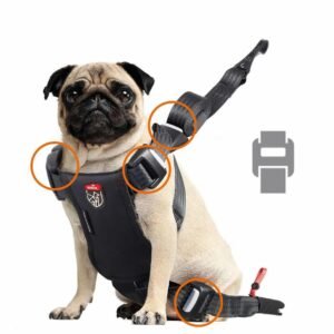 ZOLUX Travel Safe S hundesele til bil, rød