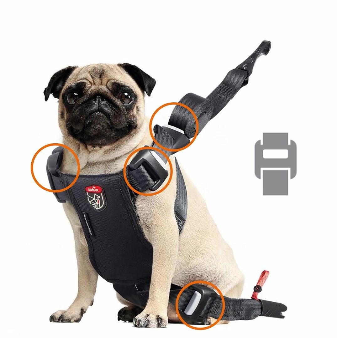 ZOLUX Travel Safe S hundesele til bil, rød